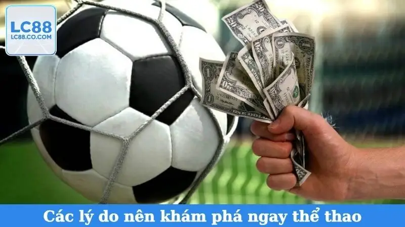 Các lý do nên khám phá ngay thể thao