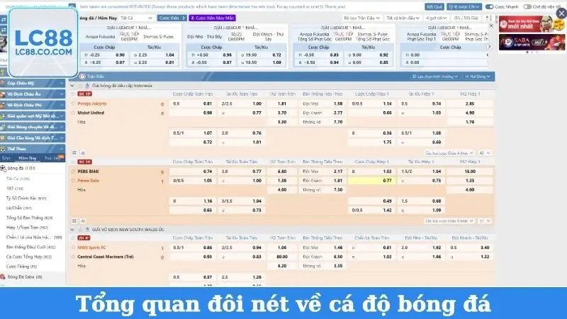 Tổng quan đôi nét về cá độ bóng đá