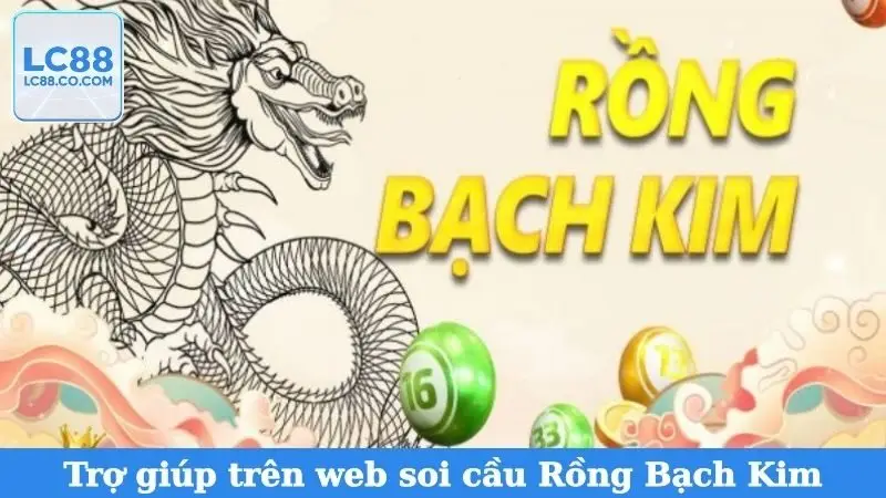 Sự trợ giúp chất lượng trên web soi cầu Rồng Bạch Kim